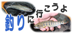 釣りに行こうよ